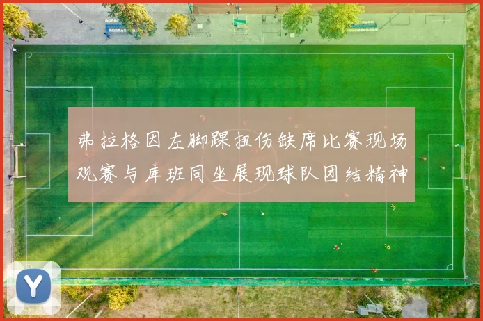 弗拉格因左脚踝扭伤缺席比赛现场观赛与库班同坐展现球队团结精神