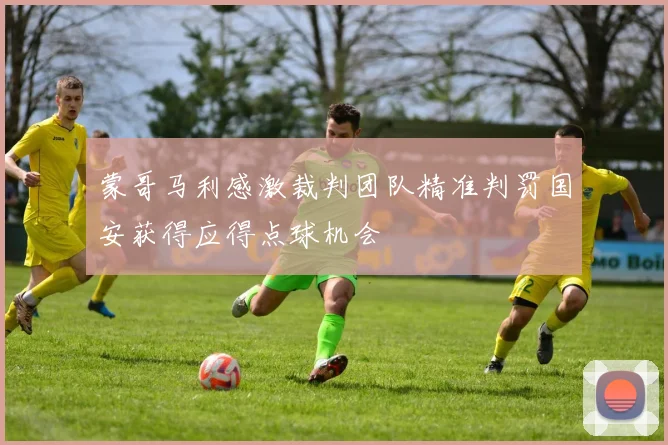 蒙哥马利感激裁判团队精准判罚国安获得应得点球机会