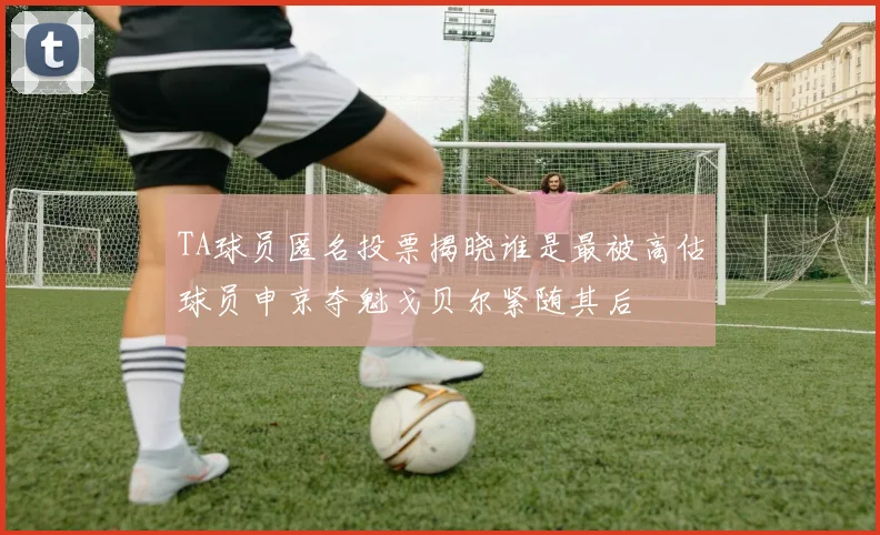 TA球员匿名投票揭晓谁是最被高估球员申京夺魁戈贝尔紧随其后
